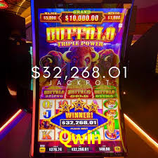 Crash Games Statistics Qwin